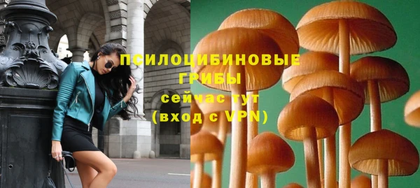 трава Магас