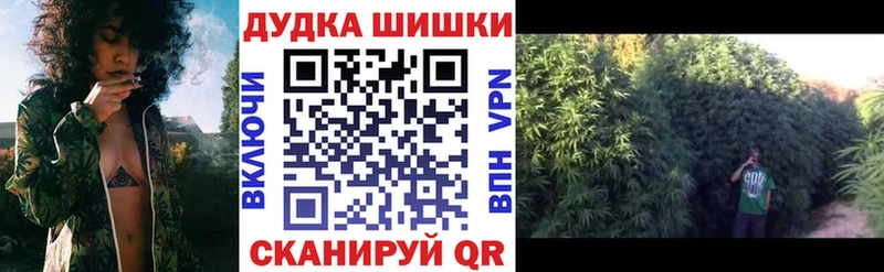 kraken зеркало Ильский Бошки марихуана AK-47